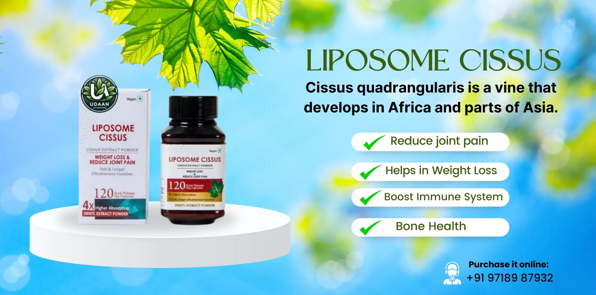 liposome-cissus-udaanayurveda